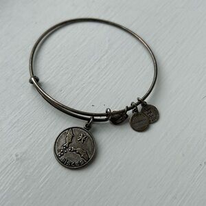 Alex and Ani Pieces bracelet